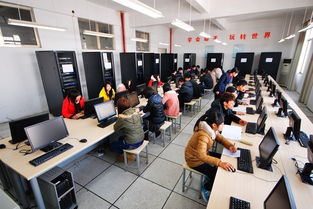 招生季 我們的專業丨軟件與服務外包學院